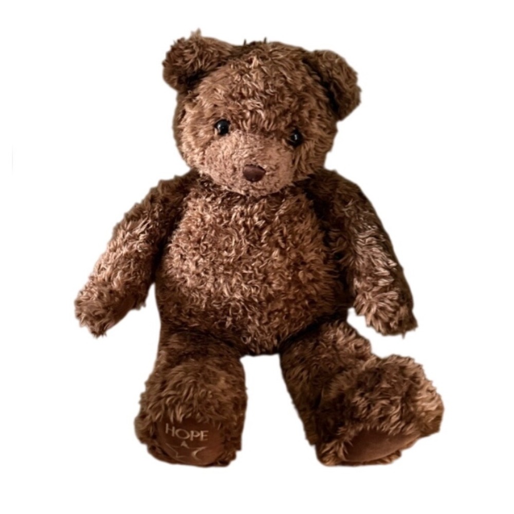 Gund Millennium 26" Bear Foleys Limited Edition 2000 Hope Brown Plush Stuffed